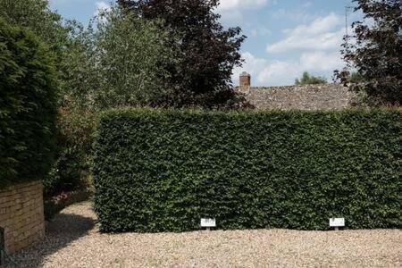 Two Rose Walk Cottage Cotswolds Moreton-in-Marsh Exterior photo